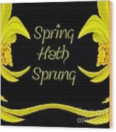 Spring Hath Sprung Daffodils Wood Print