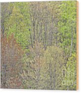 Spring Hillside Foliage Wood Print