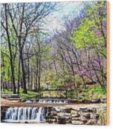 Spring In Dogwood Canyon Wood Print