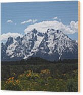 Spring In Grand Tetons National Park Wood Print