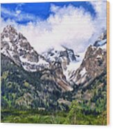 Spring In The Grand Tetons Wood Print