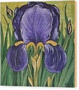 Spring Iris Wood Print