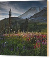 Spring Time At Mt. Rainier Washington Wood Print