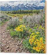 Spring Trails Through The Grand Tetons Wood Print
