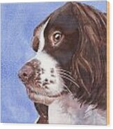 Springer Spaniel Puppy Wood Print