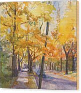 Spruce Street Maples #2 Wood Print