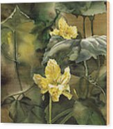 Squash Blossoms Wood Print