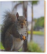 Squirrel Smile Wood Print