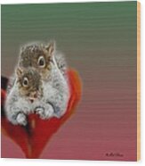 Squirrels Valentine Wood Print