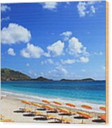 St. Maarten Calm Sea Wood Print