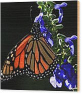 Stained Glass Wings Wood Print