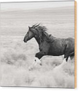Stallion Blur Wood Print