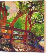 H Stand Of Young Tamarind Trees - Horizontal Wood Print