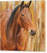 Standing Regally- Bay Horse Paintings Wood Print