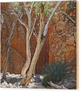 Standley Chasm Wood Print