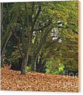 Stanley Park Fall Foliage Wood Print