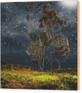 Starfield Wood Print