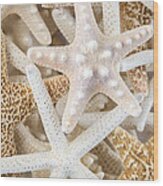 Starfish 2 Wood Print