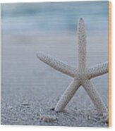 Starfish On Beach Seaside New Jersey Wood Print