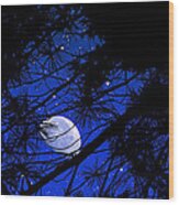 Starry Starry Night Wood Print