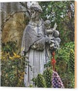 Statue Of Saint Francis In The Gardens Of The Carmel Mission Forecourt Carmel-by-the-sea California Wood Print
