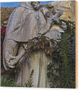 Stature Of Father Junepero Serra Wood Print