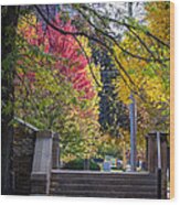 Steps With Fall Colors Winona Minnesota Wood Print