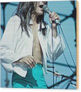 Steve Perry Of Journey At Day On The Green - July 1980 Wood Print