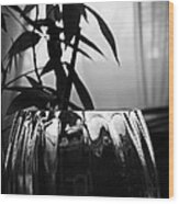 Still Life Plant And Glass Wood Print