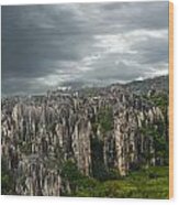 Stone Forest Wood Print