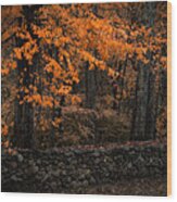 Stonewall In Autumn Wood Print