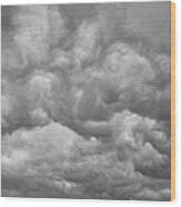 Storm Coming Wood Print