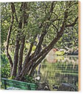 Stow Lake Bench Wood Print