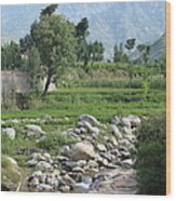 Stream Trees House And Mountains Swat Valley Pakistan Wood Print