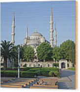 Sultan Ahmet Mosque In Istanbul Wood Print