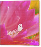 Summer Cactus Bloom Wood Print