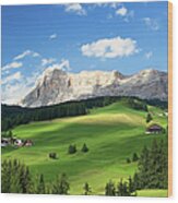 Summer In The Dolomites Wood Print