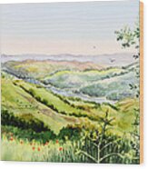 Summer Landscape Inspiration Point Orinda California Wood Print