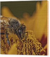 Sunfire Bee Wood Print