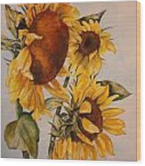 Sunflower 5 Wood Print