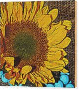 Sunflower Burlap And Turquoise Wood Print