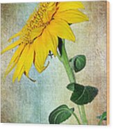 Sunflower On Textured Canvas Wood Print