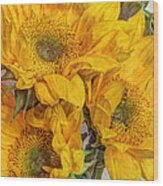 Sunflower Trio Wood Print