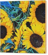 Sunflowers Wood Print