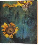 Sunflowers In Night Sky Wood Print