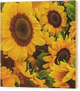 Sunflowers Wood Print