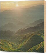 Sunrise At Terrace In Guangxi China 7 Wood Print