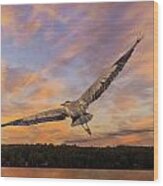 Sunrise Heron Wood Print