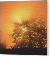 Sunrise In Fog Wood Print