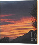 Sunrise With Lone Sentinel Over Desert Wood Print